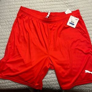 Puma shorts